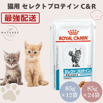 楽天市場】ロイヤルカナン セレクトプロテイン 猫 ウエットパウチの通販