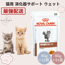 【病院認証不要 在庫限り】ロイヤルカナン 猫 消化器サポート ウェット パウチ 85g×12袋 / 85g×24袋