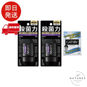 GATSBY Mcr[ v~A^Cv fIhg [I Y ̍ 60ml×2 V[gTvt