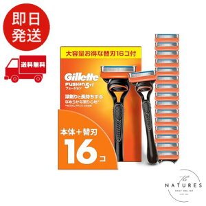 Gillette Wbg E { ֐n 16 J~\ 䓁 Y [ t[W