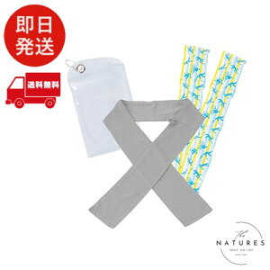 W[W[Gk ⊴ ^I ACX^I ⊴^I { ۗ ۗ MTCY O[ ҏ M ΍ N[ UVJbg