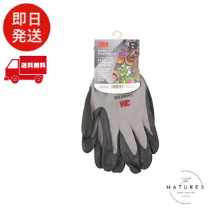 |p 3M RtH[gObv O[u O[ MTCY