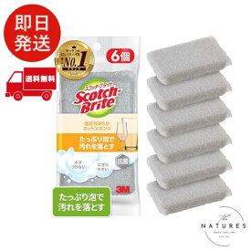 3M スポンジ キッチン キズつけない 抗菌 泡立ちゆたかネット グレー 6個 スコッチブライト WNT