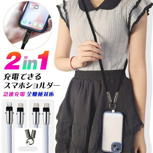 y2in1[dR[hzX}zV_[Xgbv  [dP[u X}zV_[ C to C C to Lightning ^CvcP[u PD60W }[d X}zV_[ R Ђ [v Xgbv ނ i