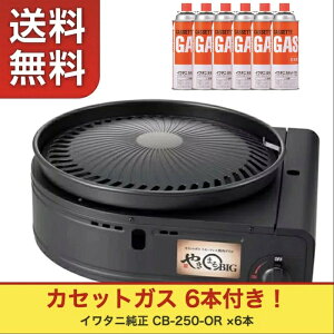 �y�J�Z�b�g�K�X6�{�t���z�y�����������k�C���͑���+550�~�E���ꗣ���͕ʓr�z�C���^�j Iwatani ��J �J�Z�b�g�K�X �X���[�N���X�O���� �₫�܂�r�b�O CB-SLG-BIG �ē� �A�E�g�h�A ���� BBQ