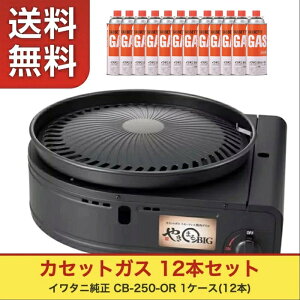 �y�Ɩ��p�E�܂Ƃߔ����z�y�J�Z�b�g�K�X1���`4�����I�ׂ�z�C���^�j Iwatani ��J �J�Z�b�g�K�X �X���[�N���X�O���� �₫�܂�r�b�O CB-SLG-BIG �K�X�{���x CB-250-OR 12�{×1�`4�P�[�X �������� �ē� 