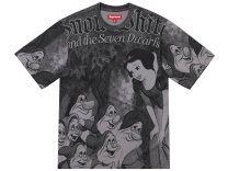 楽天市場】supreme dash snow tee（ブランドシュプリーム）（メンズ 