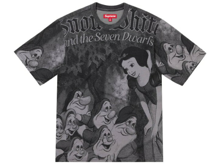 楽天市場】SUPREME シュプリーム Tシャツ 24AW 新品 グレー Snow White 