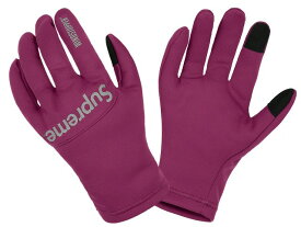 SUPREME シュプリーム 21AW /FW 新品 紫 手袋 WINDSTOPPER Gloves ウィンドストッパー グローブ パープル PURPLE ゴアテックス