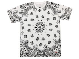 SUPREME シュプリーム ヘインズ 22AW / FW 新品 白 バンダナ柄 Hanes Bandana Tagless Tees 1枚 Tシャツ アンダーウェアー バラ売り WHITE