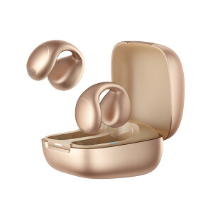 �I�[�v���C���[�^���C�����X�C���z�� �C���[�J�t Bluetooth 5.4 �h�� IPX4 �ő�21���ԍĐ� �}���`�|�C���g�ڑ� ���[�Y�S�[���h