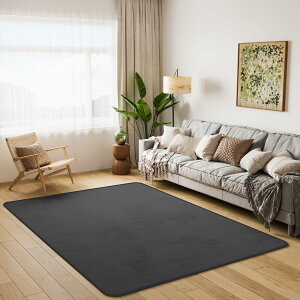 ���O �J�[�y�b�g 100×140cm ��1�� ����~�ߕt�� �}�C�N���t�@�C�o�[ �􂦂� �y�� �I�[���V�[�Y���Ή� ���n 28�F�W�J
