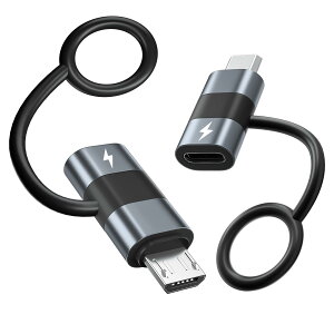 �}�C�N��USB �^�C�vC 2���� 5V 2.1A TypeC Micro USB �ϊ� 10W �}���[�d �f�[�^���� �����h�~�݌v �^�C�vc �}�C�N��usb �X�g���b�v�t �O���[