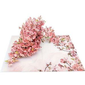 moin moin ���b�Z�[�W �J�[�h �O���[�f�B���O�J�[�h �|�b�v�A�b�v (�~�j�J�[�h + ���� �Z�b�g) �ԑ� �� �� �t�����[ ���� ��яo�� 3D �M�t�g �a���� �L�O�� �v���[���g 2410me348