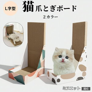 y10{|CgzLp L^܂Ƃ LbgXNb`[ 4w_{[ vŒ ^L 芴̂܌{[h ǌp Ƌی L̃XgX 