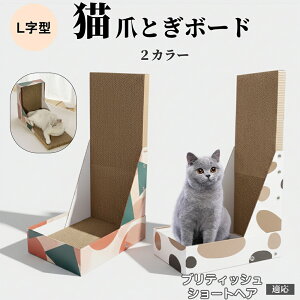 Lp L^܂Ƃ LbgXNb`[ 4w_{[ vŒ ^L 芴̂܌{[h ǌp Ƌی L̃XgX fUC ueB