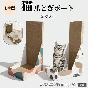 Lp L^܂Ƃ LbgXNb`[ 4w_{[ vŒ ^L 芴̂܌{[h ǌp Ƌی L̃XgX fUC AJ