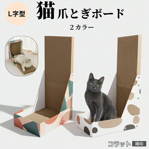 y10{|CgzLp L^܂Ƃ LbgXNb`[ 4w_{[ vŒ ^L 芴̂܌{[h ǌp Ƌی L̃XgX 