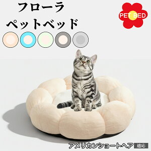 Ԍ^ybgxbh Lp ӂӂNbV 􂦂 ېOK g  ~ߒ y v p q  tďH~ KbNXxbh fUC AJ