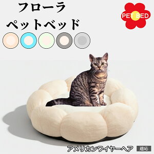 Ԍ^ybgxbh Lp ӂӂNbV 􂦂 ېOK g  ~ߒ y v p q  tďH~ KbNXxbh fUC AJ