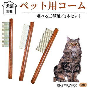 ybgpR[ 3{Zbg XeX ыʎ ю m~ Lp g~O O[~OR[  ZёΉ uV ybgpi TCxAL TCx