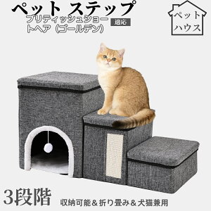 ybgXebv Lp Ki X[v i PA p ~ߕt y ܂肽ݎ ȃXy[X NbVt ω׏d20kg gȒP p \t@ xbhΉ ueBbV