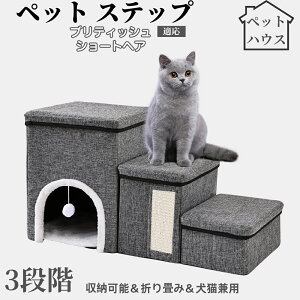 ybgXebv Lp Ki X[v i PA p ~ߕt y ܂肽ݎ ȃXy[X NbVt ω׏d20kg gȒP p \t@ xbhΉ ueBbV