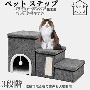 ybgXebv Lp Ki X[v i PA p ~ߕt y ܂肽ݎ ȃXy[X NbVt ω׏d20kg gȒP p \t@ xbhΉ mEF[W