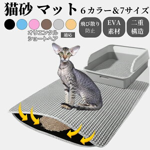 }bg L}bg 唻  d\ LgC}bg Lp юUh~ w\ Lb` |ȒP ybg}bg ~ߕt LgCpi TCYJ[Ή IG^