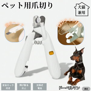 ybgpܐ؂ LEDCgt  L ܐ؂ vdl ܃Jb^[ SҌ ǂ郋[yt SJbg O[~Opi g~O ȒP h[x} h[x