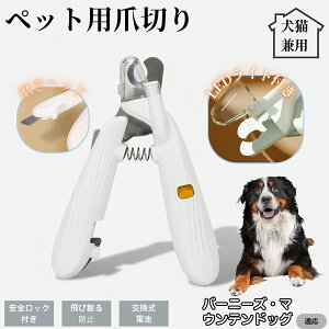 ybgpܐ؂ LEDCgt  L ܐ؂ vdl ܃Jb^[ SҌ ǂ郋[yt SJbg O[~Opi g~O ȒP o[j[Y}EehbO