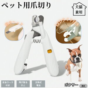 ybgpܐ؂ LEDCgt  L ܐ؂ vdl ܃Jb^[ SҌ ǂ郋[yt SJbg O[~Opi g~O ȒP {NT[ {NT[