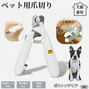 ybgpܐ؂ LEDCgt  L ܐ؂ vdl ܃Jb^[ SҌ ǂ郋[yt SJbg O[~Opi g~O ȒP {XgeA {Xg