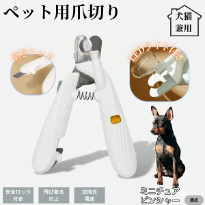 ybgpܐ؂ LEDCgt  L ܐ؂ vdl ܃Jb^[ SҌ ǂ郋[yt SJbg O[~Opi g~O ȒP ~j`AsV[ ~j