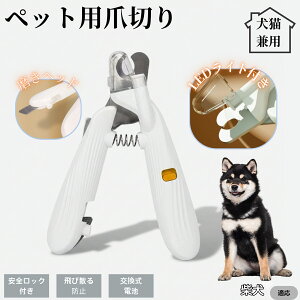 ybgpܐ؂ LEDCgt  L ܐ؂ vdl ܃Jb^[ SҌ ǂ郋[yt SJbg O[~Opi g~O ȒP Č 