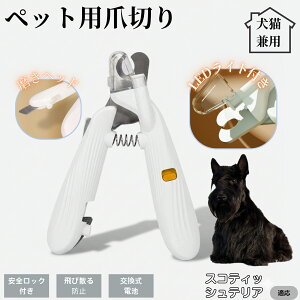 ybgpܐ؂ LEDCgt  L ܐ؂ vdl ܃Jb^[ SҌ ǂ郋[yt SJbg O[~Opi g~O ȒP XReBbVeA XR