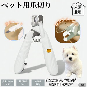 ybgpܐ؂ LEDCgt  L ܐ؂ vdl ܃Jb^[ SҌ ǂ郋[yt SJbg O[~Opi g~O ȒP EGXgnChzCge