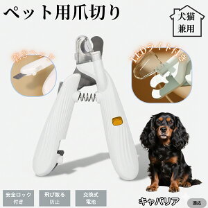 ybgpܐ؂ LEDCgt  L ܐ؂ vdl ܃Jb^[ SҌ ǂ郋[yt SJbg O[~Opi g~O ȒP LoALO`[YX