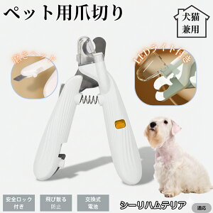 ybgpܐ؂ LEDCgt  L ܐ؂ vdl ܃Jb^[ SҌ ǂ郋[yt SJbg O[~Opi g~O ȒP V[neA V[n