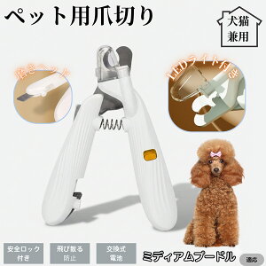 ybgpܐ؂ LEDCgt  L ܐ؂ vdl ܃Jb^[ SҌ ǂ郋[yt SJbg O[~Opi g~O ȒP ~fBAv[h ~fB