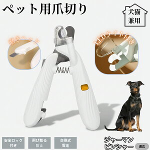 ybgpܐ؂ LEDCgt  L ܐ؂ vdl ܃Jb^[ SҌ ǂ郋[yt SJbg O[~Opi g~O ȒP W[}sV[ W