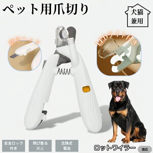 ybgpܐ؂ LEDCgt  L ܐ؂ vdl ܃Jb^[ SҌ ǂ郋[yt SJbg O[~Opi g~O ȒP bgC[ bg