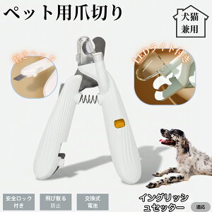 ybgpܐ؂ LEDCgt  L ܐ؂ vdl ܃Jb^[ SҌ ǂ郋[yt SJbg O[~Opi g~O ȒP CObVZb^[ C