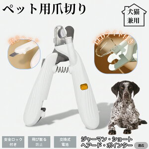 ybgpܐ؂ LEDCgt  L ܐ؂ vdl ܃Jb^[ SҌ ǂ郋[yt SJbg O[~Opi g~O ȒP W[}V[gwA[h|