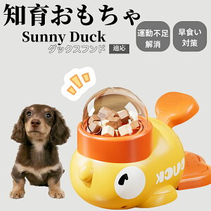 �y10�{�|�C���g�z�m�狋�a�� ���L�p �������� IQ�P�� �y�b�g�m�� ������ԑ΍� �����ŗV�ׂ�a���ߋ� ���a�� �􂦂�݌v ���Ԓׂ� �t�[�h�g�C �]�g���������� �y�b�g�p�G�T���� �_�b�N�X