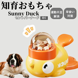 �y10�{�|�C���g�z�m�狋�a�� ���L�p �������� IQ�P�� �y�b�g�m�� ������ԑ΍� �����ŗV�ׂ�a���ߋ� ���a�� �􂦂�݌v ���Ԓׂ� �t�[�h�g�C �]�g���������� �y�b�g�p�G�T���� �Z���g�o