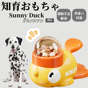 �y10�{�|�C���g�z�m�狋�a�� ���L�p �������� IQ�P�� �y�b�g�m�� ������ԑ΍� �����ŗV�ׂ�a���ߋ� ���a�� �􂦂�݌v ���Ԓׂ� �t�[�h�g�C �]�g���������� �y�b�g�p�G�T���� �_�����V