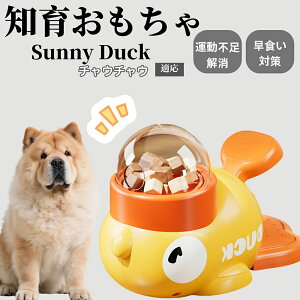 �y10�{�|�C���g�z�m�狋�a�� ���L�p �������� IQ�P�� �y�b�g�m�� ������ԑ΍� �����ŗV�ׂ�a���ߋ� ���a�� �􂦂�݌v ���Ԓׂ� �t�[�h�g�C �]�g���������� �y�b�g�p�G�T���� �`���E�`