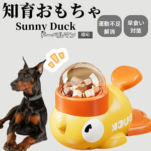 �y10�{�|�C���g�z�m�狋�a�� ���L�p �������� IQ�P�� �y�b�g�m�� ������ԑ΍� �����ŗV�ׂ�a���ߋ� ���a�� �􂦂�݌v ���Ԓׂ� �t�[�h�g�C �]�g���������� �y�b�g�p�G�T���� �h�[�x��