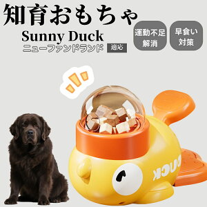 �y10�{�|�C���g�z�m�狋�a�� ���L�p �������� IQ�P�� �y�b�g�m�� ������ԑ΍� �����ŗV�ׂ�a���ߋ� ���a�� �􂦂�݌v ���Ԓׂ� �t�[�h�g�C �]�g���������� �y�b�g�p�G�T���� �j���[�t